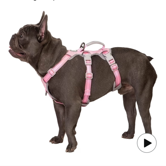 Escape Proof Reflective Dog Harness Size Small - Picture 5 of 11